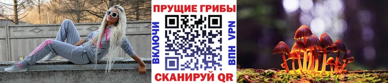 Галлюциногенные грибы Cubensis  Павловская 